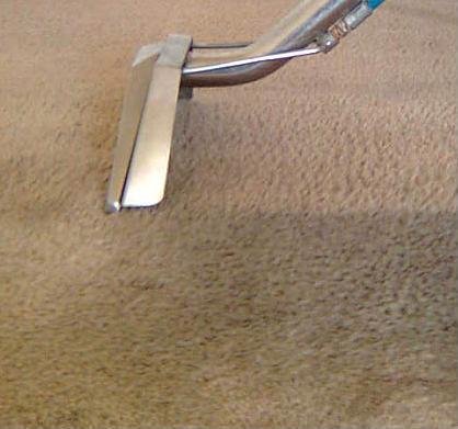 Carpet Steam Extraction